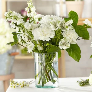 A Florist Original - Classic Ivory - Standard — Standard